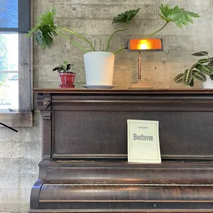 a piano and potted plants