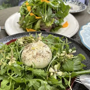 Bresaola Arugula E Burrata