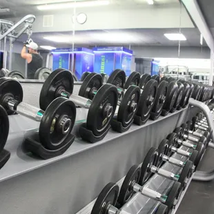 Free weights section