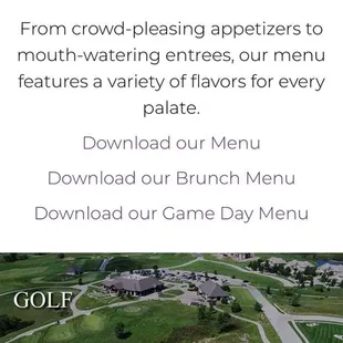 Website