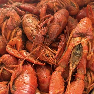 mussels, oysters, shellfish, oysters and mussels, food