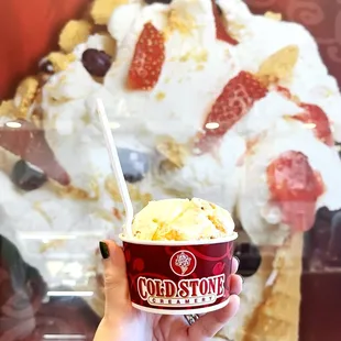 French Vanilla w/ Graham Crackers &amp; Reese's Peanuts (small scoop)