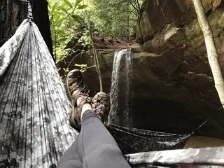 daniel boone national forest