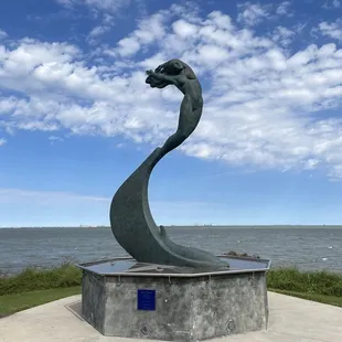 Wind Dancer