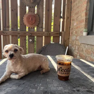 Pal and momma having coffee talk.