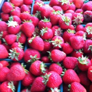 Mid to late June brings local Picha strawberries picked and delivered each morning.  SO DELICIOUS!