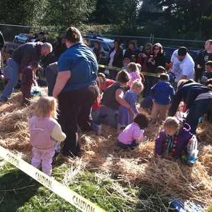 Hootenanny Festival.  This is the Hay Find.  Kids dig for all the candy they can find.  Lots of activities for the whole family!