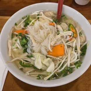 Chicken Wonton