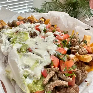 Carne Asada Fries