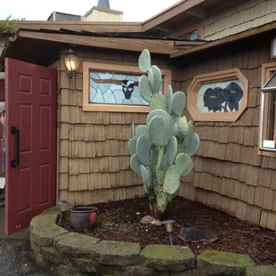 the entrance and cactus