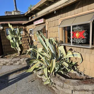 The exterior... looking a bit tired and worn.