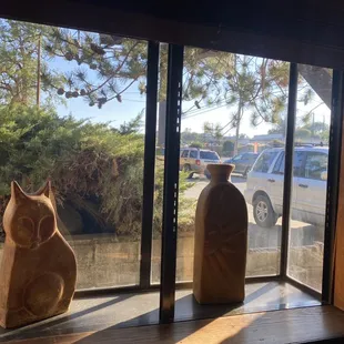 a cat sitting in front of a window