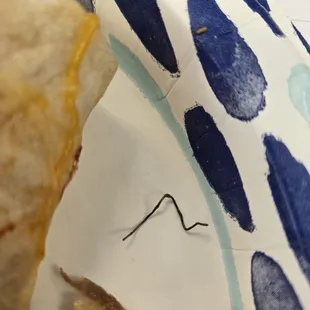 Wire in my burrito