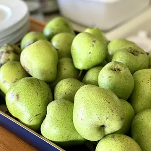 The pears that were just picked freshly from the tree in the backyard.
