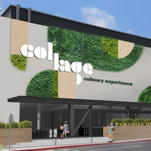 Collage Culinary Experience