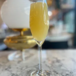 Mimosa
