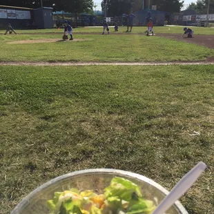1st Baseline view of the t-ball field. Oh, and my salad!