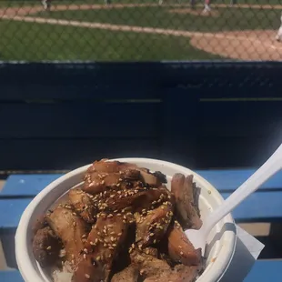 Chicken Teriyaki bowl is new on the menu this season! Yummy!!