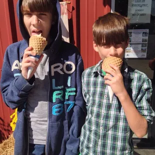 Homemade Pumpkin Ice Cream