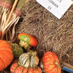 These remind me of mushrooms.