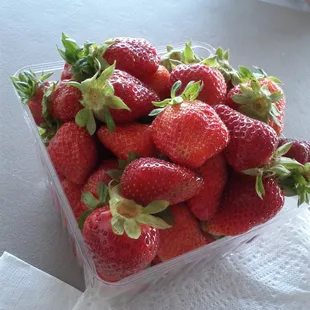 Strawberries (Small Box)