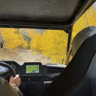 Rzr