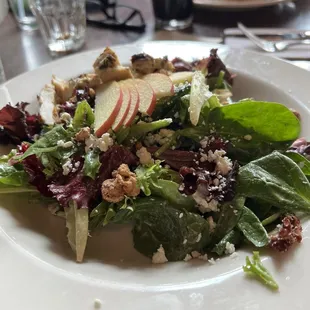 House salad with grilled chicken and hummus plate in background.