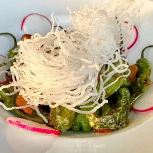 Ginger Soy Shishito Peppers with pork belly, radish, crispy rice noodles