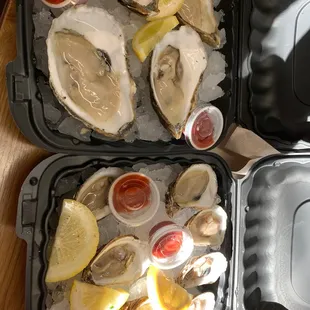 Oysters