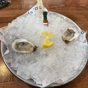 Fresh oysters