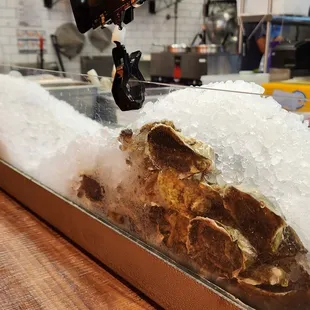 oysters, oysters and mussels, mussels, food, shellfish