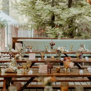 Photo by https://elleventurephoto.com/