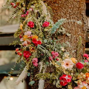 Photo by https://elleventurephoto.com/