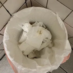 Poopy toilet paper in the trash. I'm out.