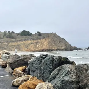 a seagull perched on rocks along the beach