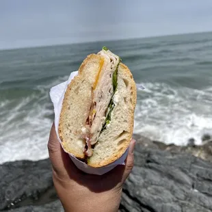 a hand holding a sandwich