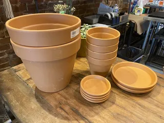 Boston's Floral Couture