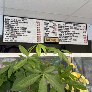 The plants were a nice touch