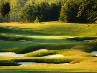 The Club At Viniterra