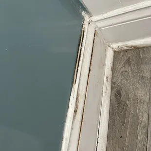 Mold on the baseboard in the bathroom and it gets very stuffy as soon as you close the door since the only AC is in the living area