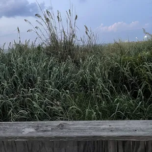 This is the view from the deck on their website it's so grown up you can't even see the ocean anymore