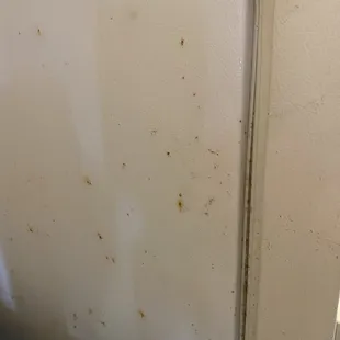 This is the fridge that had rust on the side and mold on the rubber seal. The inside was clean