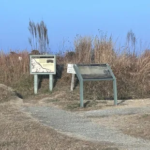 Walking path along drive