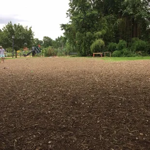 Large area for the dogs to run