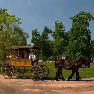 Beautiful and historical Colonial Williamsburg Virginia is a MUST see!