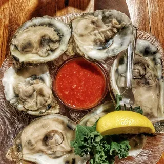 Fresh Oysters