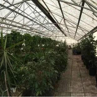 Greenhouse is of of the very best I've been to! Lots of selections and a fair price.