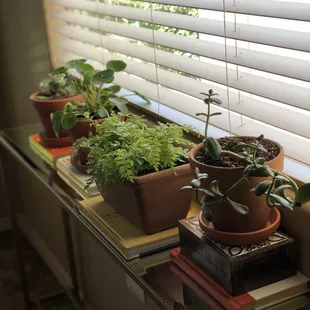 Mission accomplished!