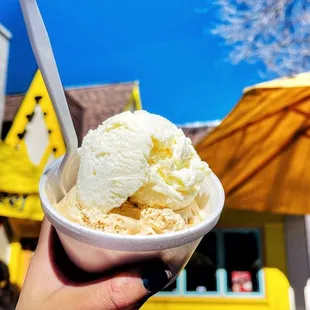 a hand holding a cup of ice cream