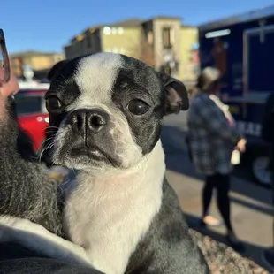 Our little cupcake waiting for a Colorado coney!